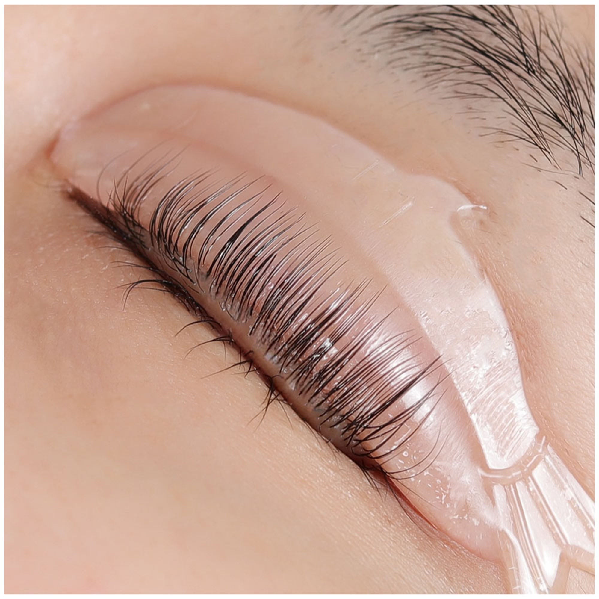 Natural lashes arranged on a translucent pink YSEN’S fish-shaped lash lift shield