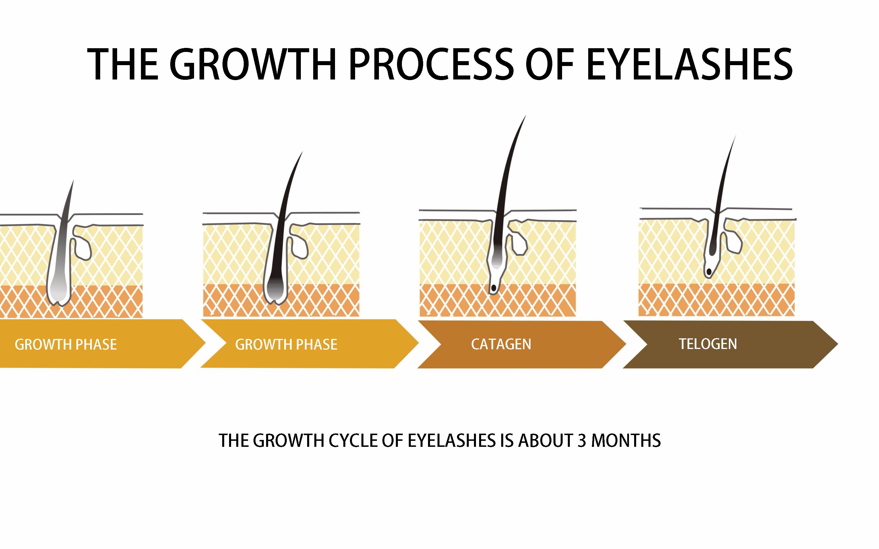 Eyelash lift instruction for beginners (1)